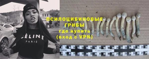 винт Инсар