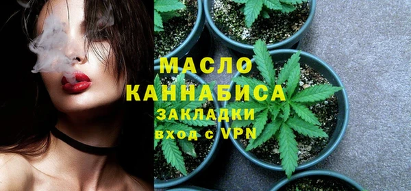хмурый Каменка