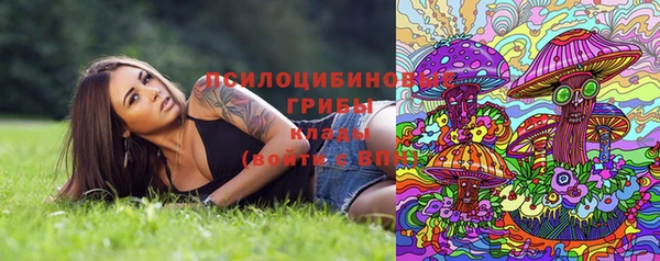 молекула духа Каменногорск