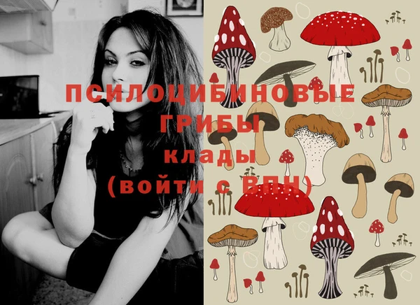 винт Инсар