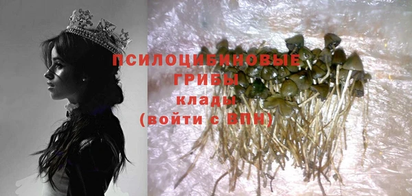 винт Инсар