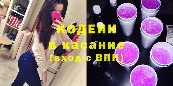 хмурый Каменка