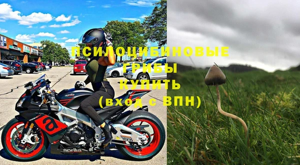 хмурый Каменка