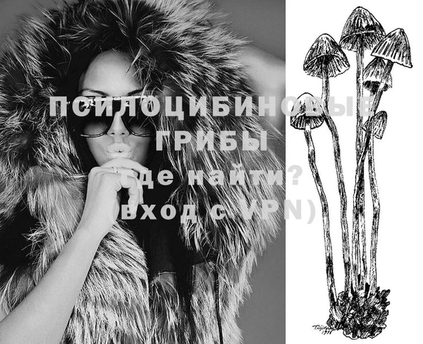 хмурый Каменка