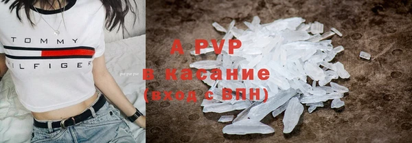 молекула духа Каменногорск