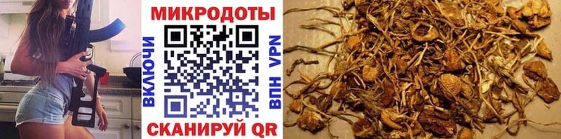 Галлюциногенные грибы прущие грибы  Купить где  Пересвет 